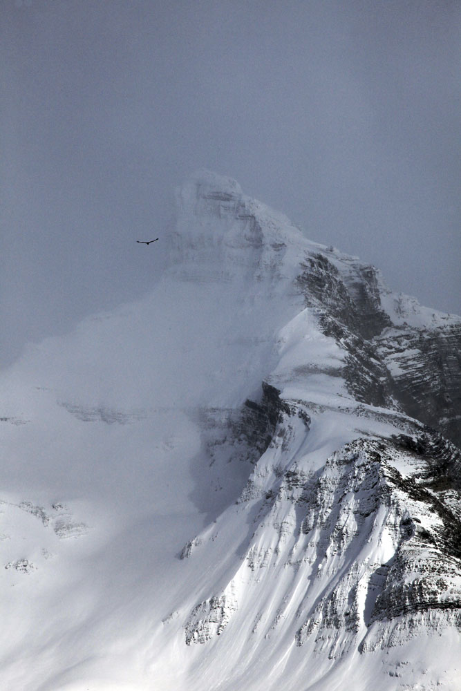 Cerro Moreno