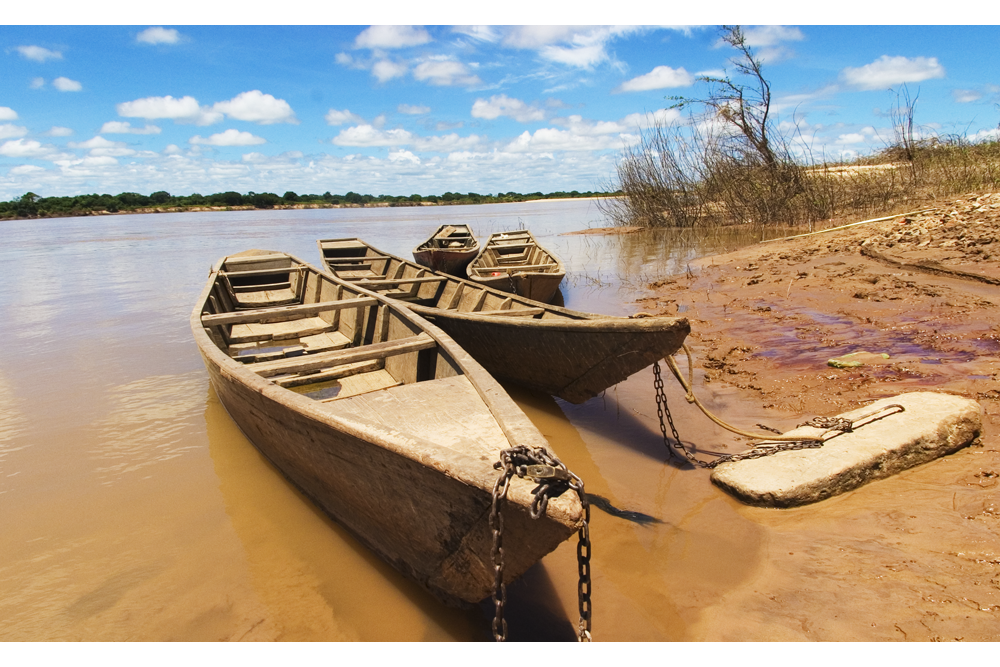 canoas de Januária