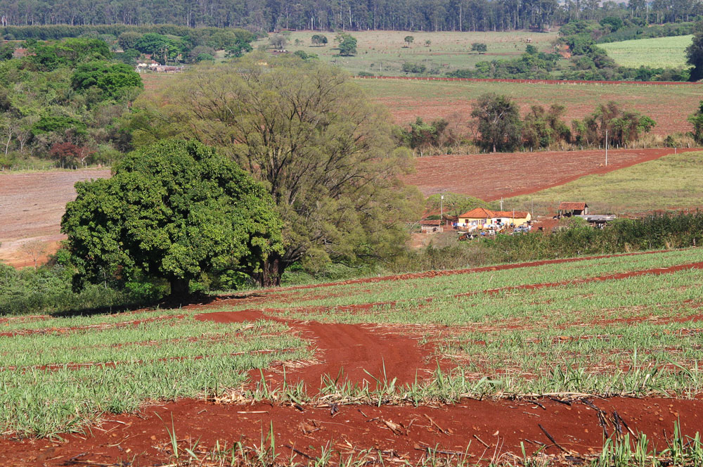 Camino de la Fe