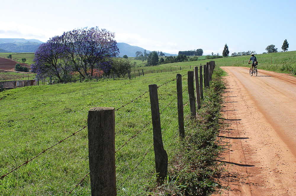 Camino de la Fe