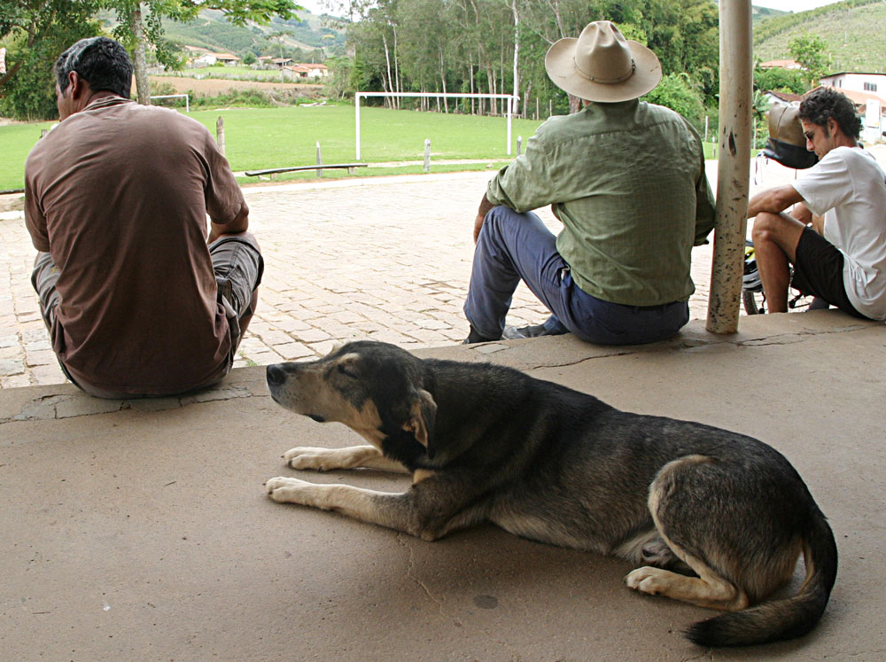 Camino de la Fe