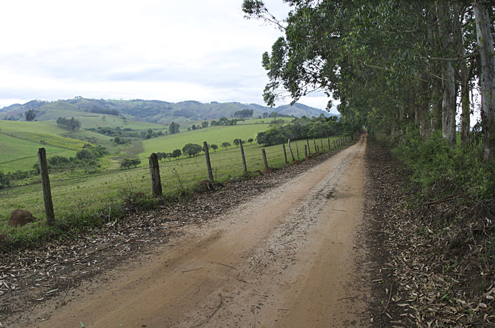 Camino de la Fe