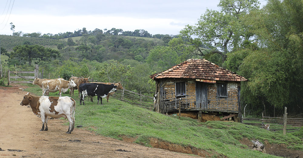 Camino de la Fe