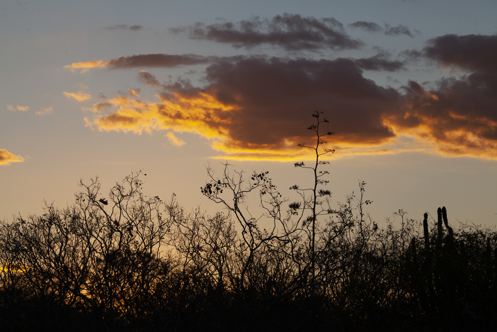 crepúsculo