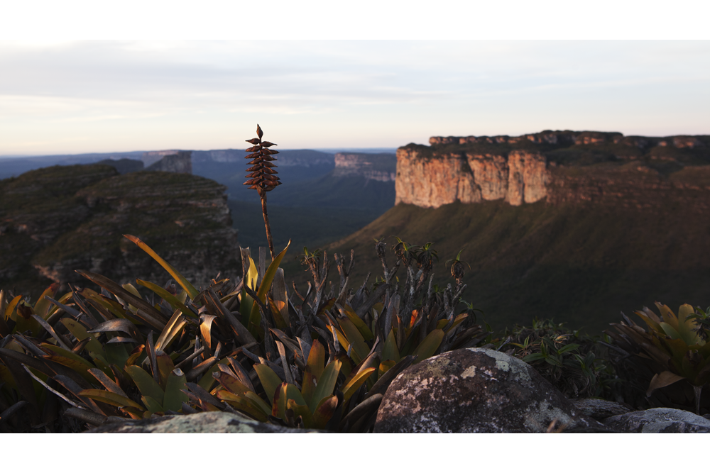 Parque Nacional da Chapada Diamantina