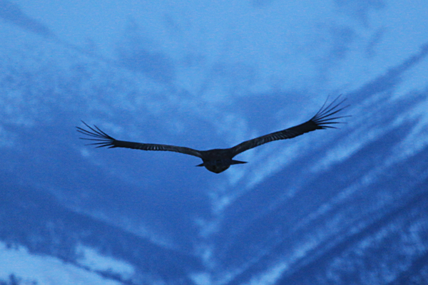 Puerto Varas 2013