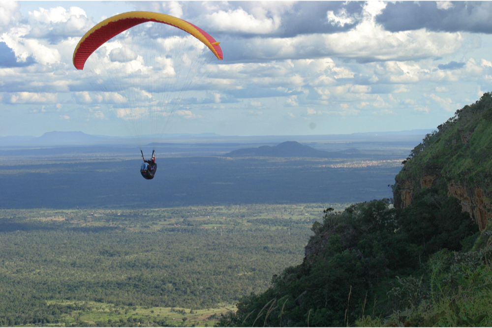 paraglider