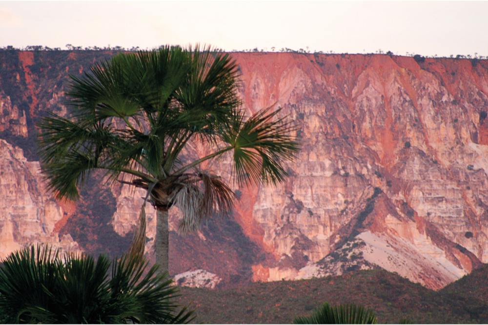 buriti e duna