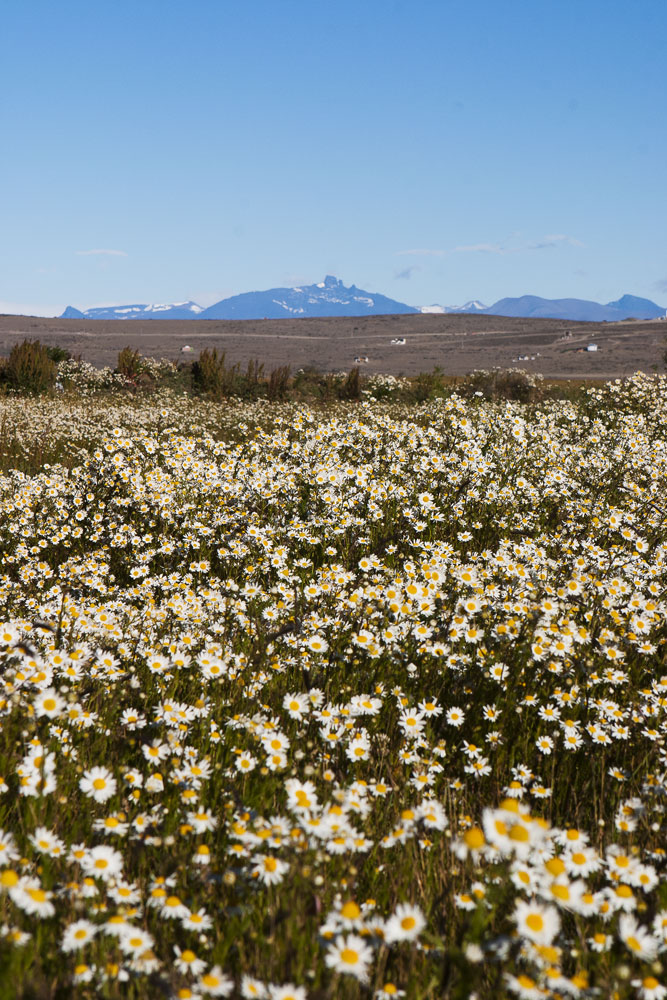 El Calafate, Argentina, 2010.