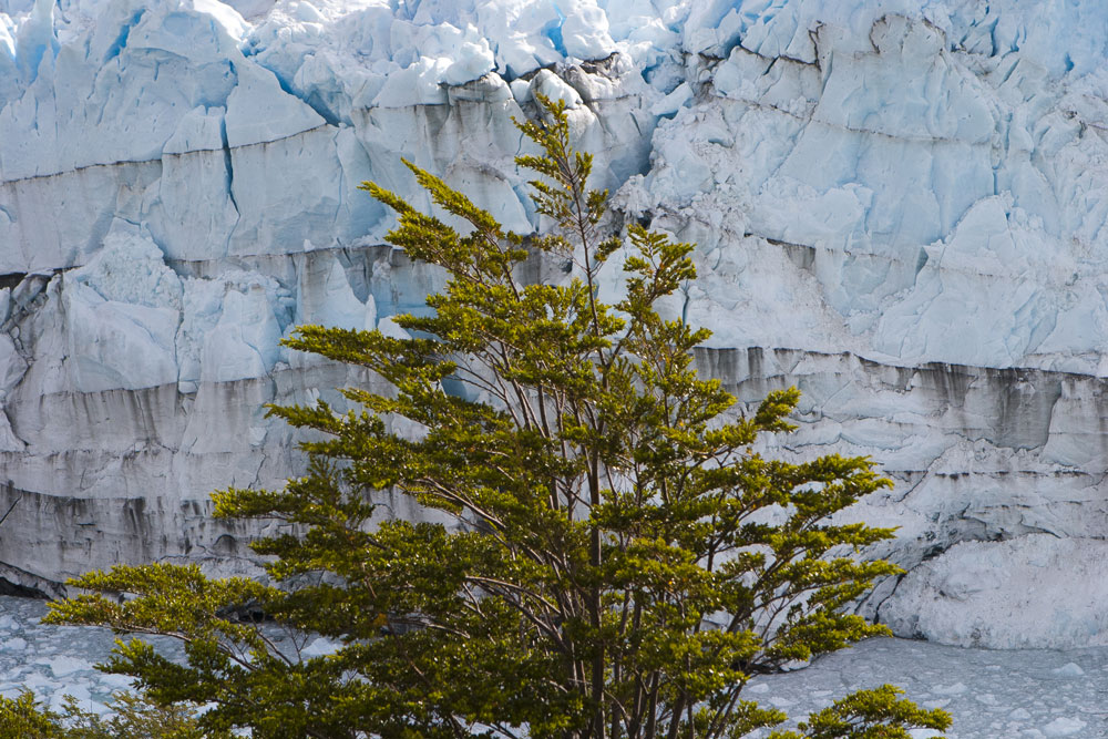 Glaciar Perito Moreno, P. N. Los Glaciares, Argentina, 2008.