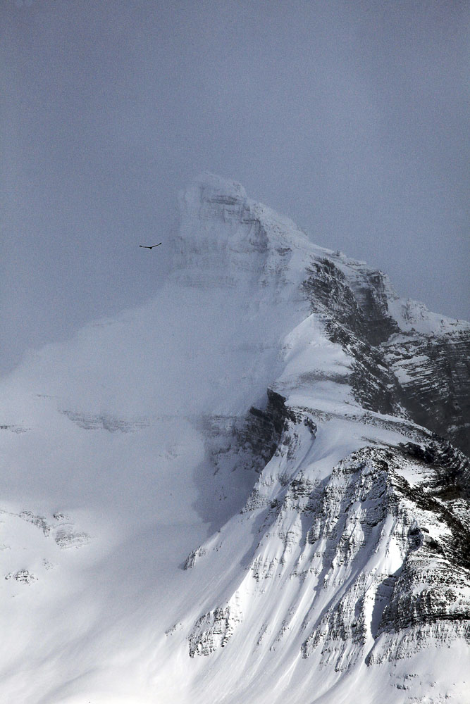 Cerro Moreno, P. N. Los Glaciares, Argentina, 2008.