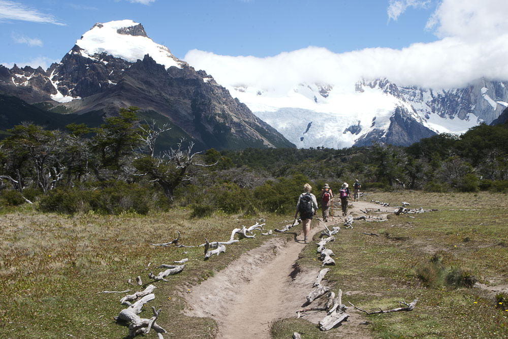 P. N. Los Glaciares, Argentina, 2008.