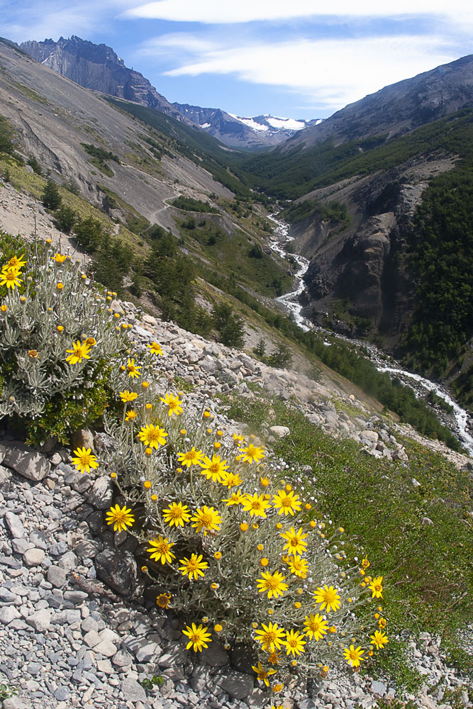 Cuesta Uphill, Trilha do Vale Ascencio, Parque Nacional Torres Del Paine, Chile, 2008.