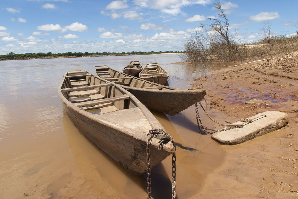 canoas de Januária